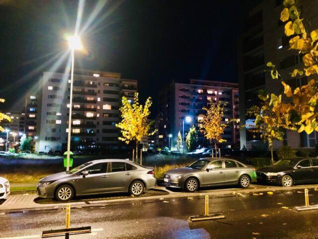 Joy City Stay Stefan Baciu 10 브라쇼브 외부 사진